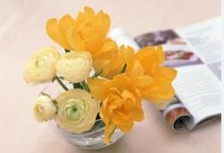 脚上的白癜风初期有什么症状