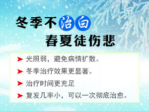冬季不治白,春夏徒伤悲