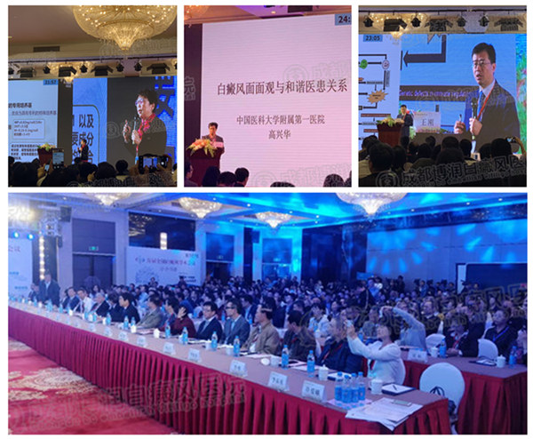 会议现场,众医生分享白癜风研究成果