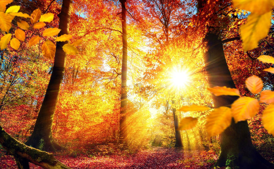 金秋来临,白癜风患者秋季养生正当时